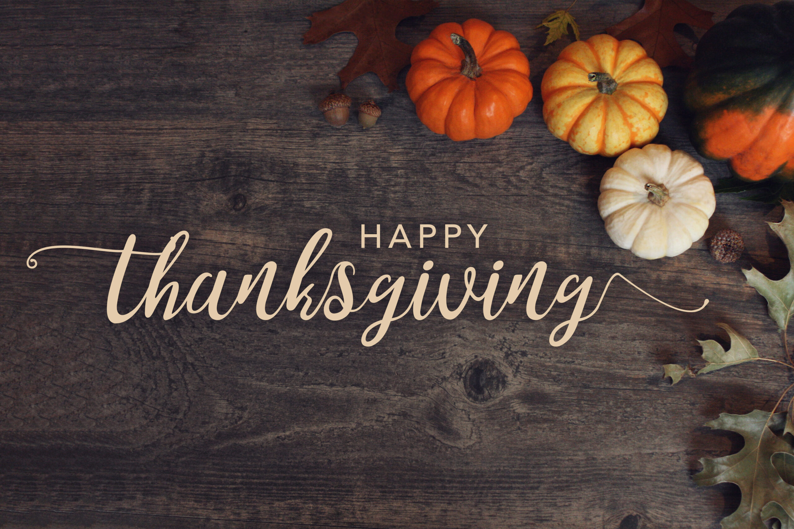 happy,thanksgiving,text,with,pumpkins,and,leaves,over,dark,wood